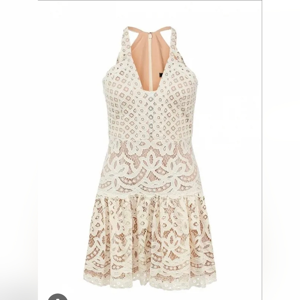 BCBGMaxAzria Carlita Minidress